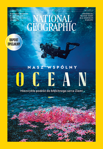 Roczna prenumerata National Geographic