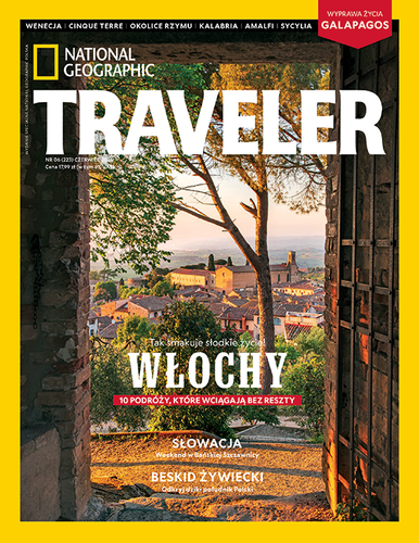Traveler 6/2026