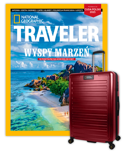 Roczna prenumerata Travelera z dużą walizką NG Cruise burgund