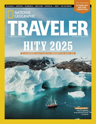Traveler 1/2025