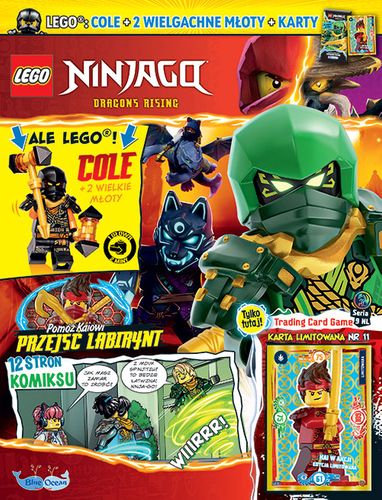 LEGO NINJAGO 8 2024