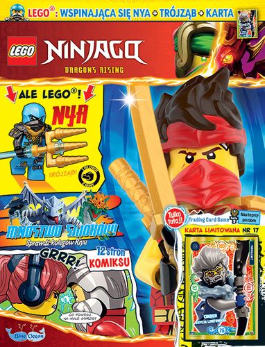 LEGO® NINJAGO® 12/2024