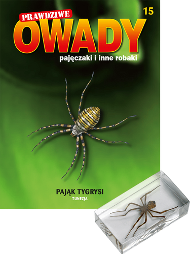 Prawdziwe owady, pajęczaki i inne robaki - TOM 15