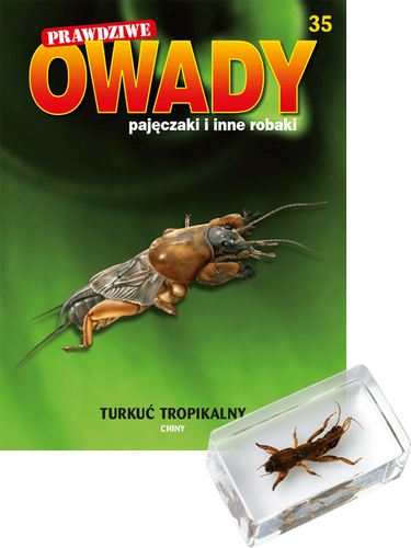 Prawdziwe owady, pajęczaki i inne robaki - TOM 35
