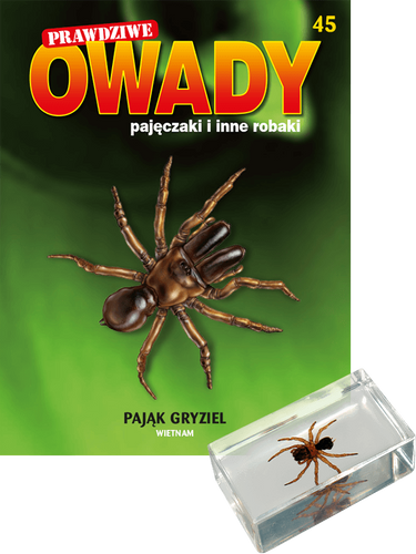 Prawdziwe owady, pajęczaki i inne robaki - TOM 45