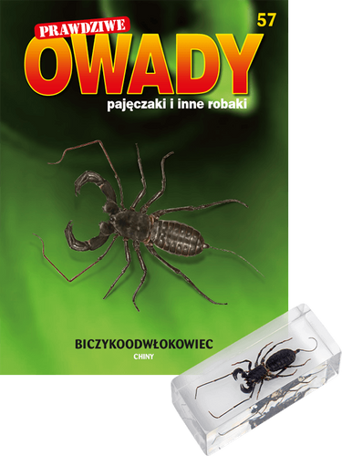 Prawdziwe owady, pajęczaki i inne robaki - TOM 57
