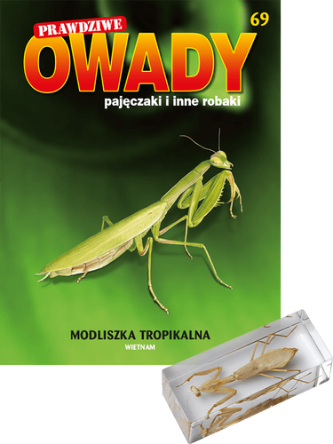 Prawdziwe owady, pajęczaki i inne robaki - Edycja I TOM 69