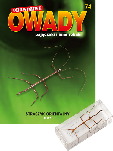 Prawdziwe owady, pajęczaki i inne robaki - Edycja I TOM 74