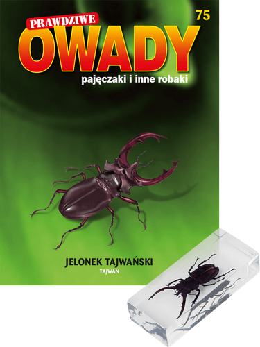 Prawdziwe owady, pajęczaki i inne robaki - Edycja I TOM 75