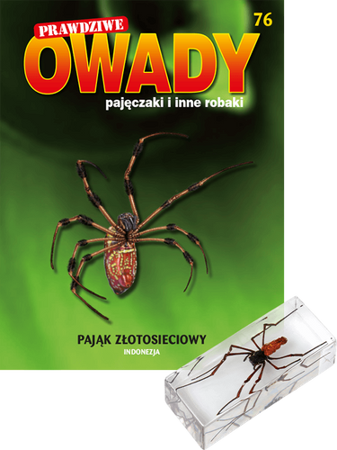 Prawdziwe owady, pajęczaki i inne robaki - Edycja I TOM 76
