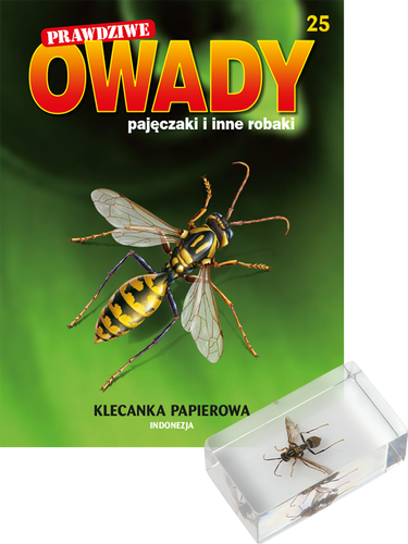 Prawdziwe owady, pajęczaki i inne robaki - TOM 25