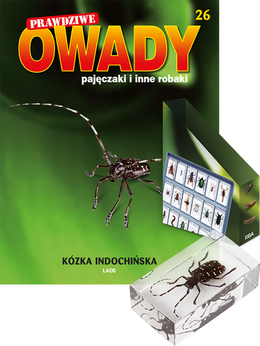 Prawdziwe owady, pajęczaki i inne robaki - TOM 26