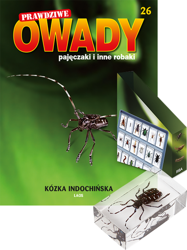 Prawdziwe owady, pajęczaki i inne robaki - EDYCJA 2 TOM 26