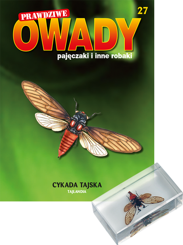 Prawdziwe owady, pajęczaki i inne robaki - TOM 27