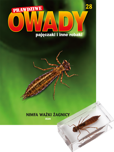 Prawdziwe owady, pajęczaki i inne robaki - EDYCJA 2 TOM 28