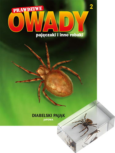 Prawdziwe owady, pajęczaki i inne robaki - TOM 2