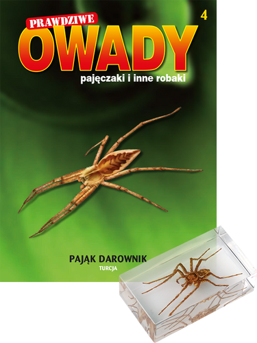 Prawdziwe owady, pajęczaki i inne robaki - TOM 4