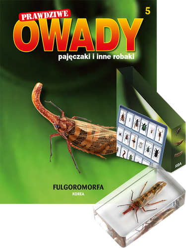 Prawdziwe owady, pajęczaki i inne robaki - TOM 5