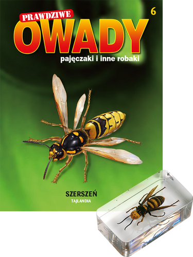Prawdziwe owady, pajęczaki i inne robaki - TOM 6