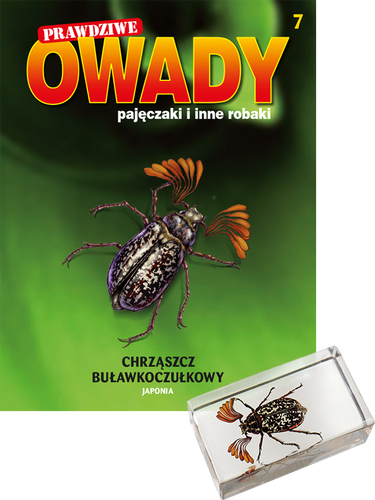 Przesyłka cz. 7, 8, 9, 10. Prenumerata "Prawdziwe owady, pajęczaki i inne robaki", od tomu 7 - Premium