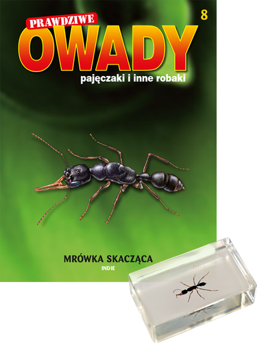 Prawdziwe owady, pajęczaki i inne robaki - TOM 8
