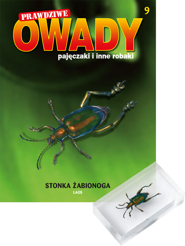 Prawdziwe owady, pajęczaki i inne robaki - TOM 9