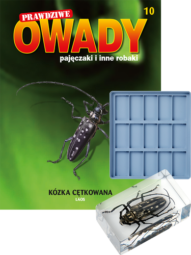 Prawdziwe owady, pajęczaki i inne robaki - TOM 10