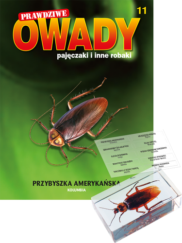 Prawdziwe owady, pajęczaki i inne robaki - TOM 11