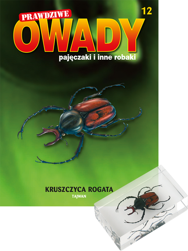 Prawdziwe owady, pajęczaki i inne robaki - TOM 12