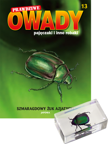 Prawdziwe owady, pajęczaki i inne robaki - TOM 13