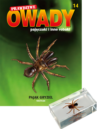 Prawdziwe owady, pajęczaki i inne robaki - TOM 14
