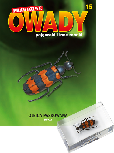 Prawdziwe owady, pajęczaki i inne robaki - TOM 15