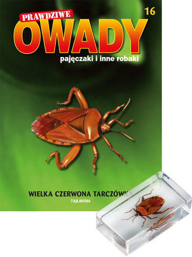 Prawdziwe owady, pajęczaki i inne robaki - TOM 16