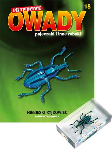 Prawdziwe owady, pajęczaki i inne robaki - TOM 18