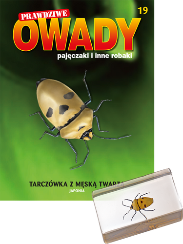Prawdziwe owady, pajęczaki i inne robaki - TOM 19
