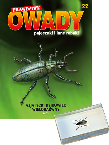 Prawdziwe owady, pajęczaki i inne robaki - TOM 22
