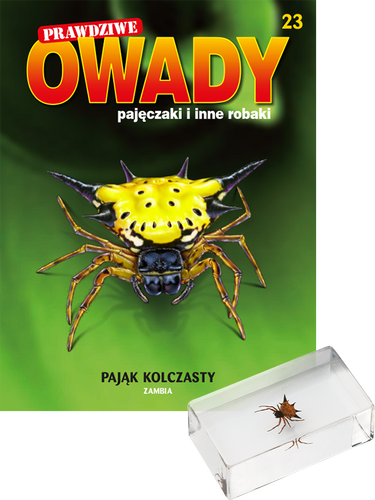 Prawdziwe owady, pajęczaki i inne robaki - TOM 23