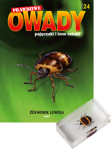 Prawdziwe owady, pajęczaki i inne robaki - TOM 24