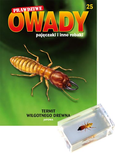 Prawdziwe owady, pajęczaki i inne robaki - TOM 25