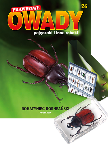 Prawdziwe owady, pajęczaki i inne robaki - TOM 26
