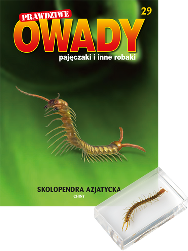 Prawdziwe owady, pajęczaki i inne robaki - TOM 29