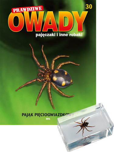 Prawdziwe owady, pajęczaki i inne robaki - TOM 30