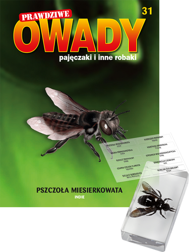 Prawdziwe owady, pajęczaki i inne robaki - TOM 31
