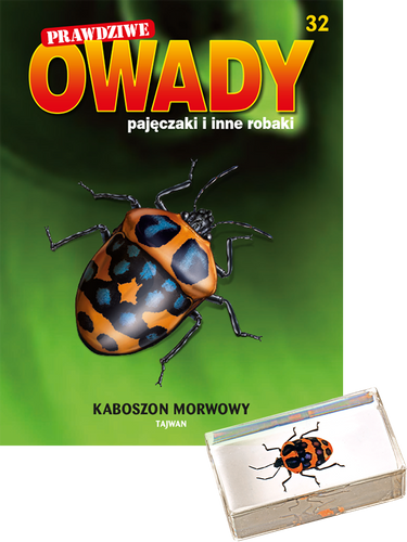 Prawdziwe owady, pajęczaki i inne robaki - TOM 32