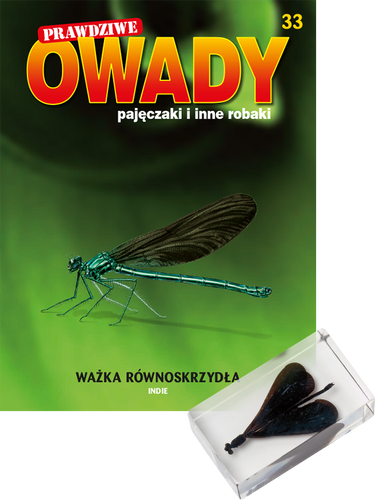 Prawdziwe owady, pajęczaki i inne robaki - TOM 33