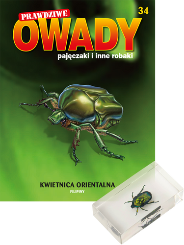 Prawdziwe owady, pajęczaki i inne robaki - TOM 34