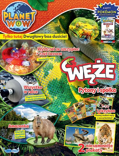Planet WOW 6/2024